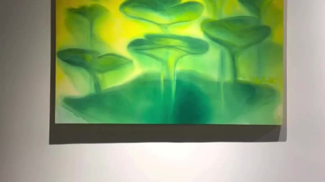 نمایشگاه در ستایش آب های راکد (امیرحسین عالی)